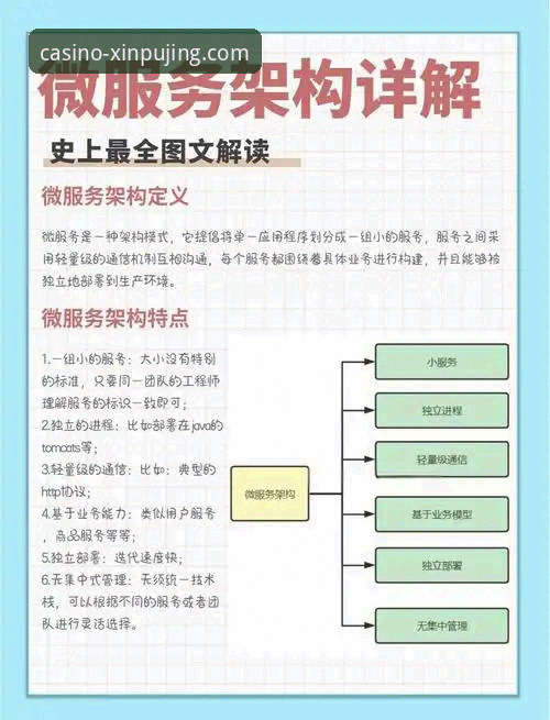 新莆京官方网站用户体验深度剖析：从技术架构到服务响应全面解读